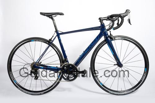 Fuji SL 2.5 scheda tecnica e recensioni
